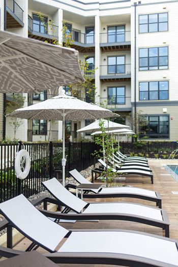 A row of lounge chairs and umbrellas